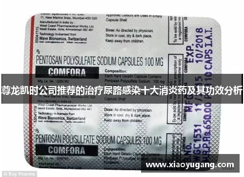 尊龙凯时公司推荐的治疗尿路感染十大消炎药及其功效分析