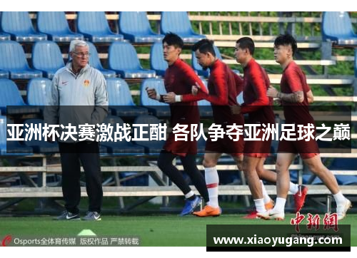 亚洲杯决赛激战正酣 各队争夺亚洲足球之巅